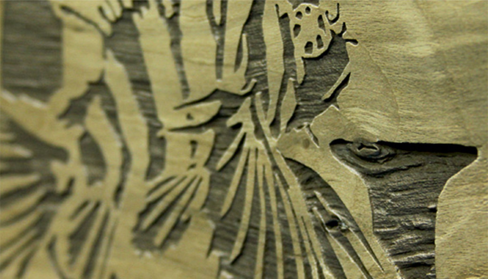 grafikázott-felületek-taylor-design-Faanyagok